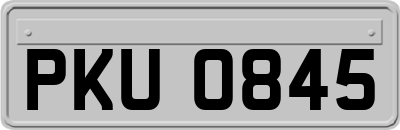 PKU0845