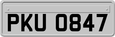 PKU0847