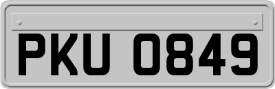 PKU0849