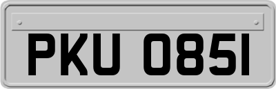 PKU0851