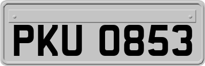 PKU0853