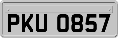 PKU0857