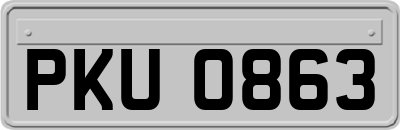 PKU0863