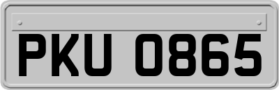 PKU0865