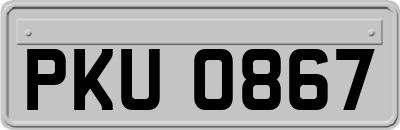 PKU0867