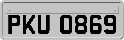 PKU0869