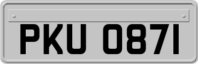 PKU0871