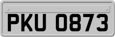 PKU0873