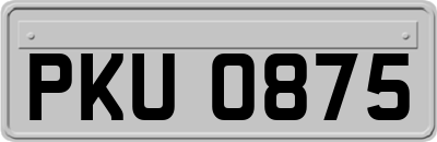 PKU0875