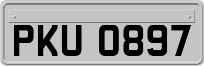 PKU0897