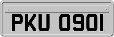 PKU0901