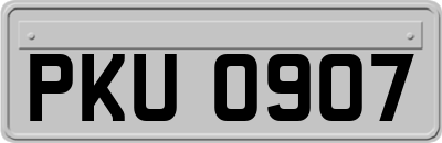 PKU0907