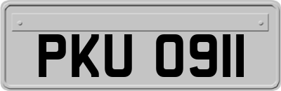 PKU0911