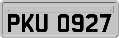 PKU0927