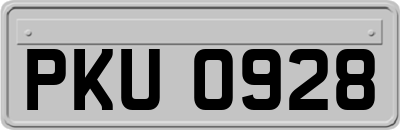 PKU0928