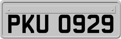 PKU0929