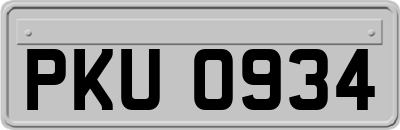 PKU0934