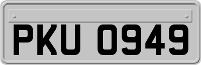 PKU0949