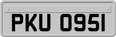 PKU0951