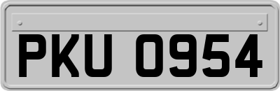 PKU0954