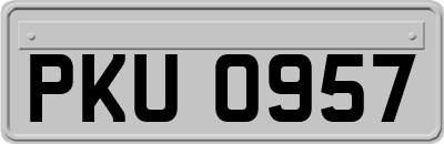 PKU0957