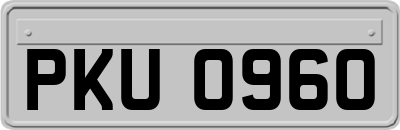 PKU0960