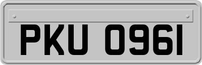 PKU0961