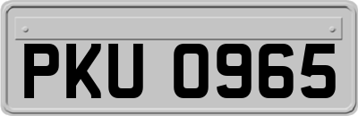 PKU0965