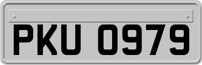 PKU0979
