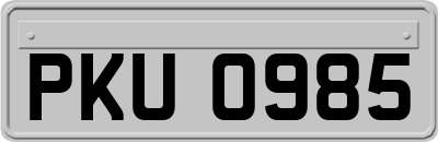 PKU0985
