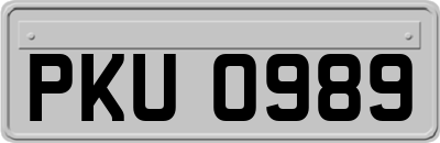 PKU0989