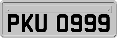 PKU0999
