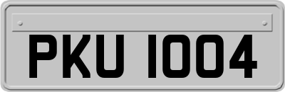 PKU1004