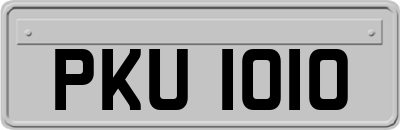 PKU1010