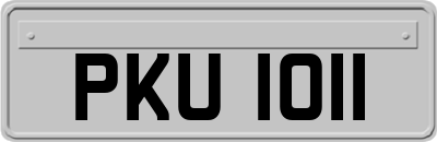 PKU1011