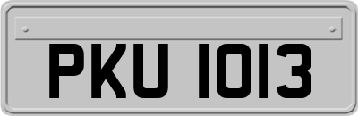 PKU1013