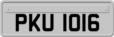 PKU1016