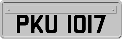 PKU1017