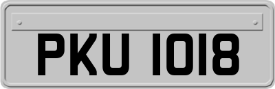 PKU1018
