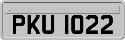 PKU1022