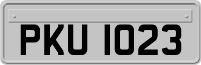 PKU1023