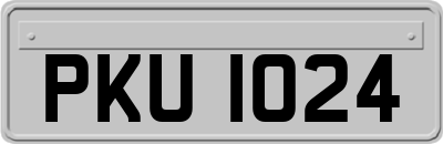 PKU1024