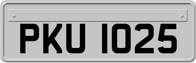PKU1025