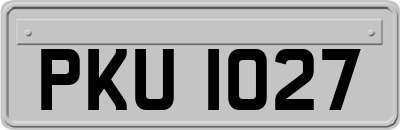 PKU1027