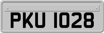 PKU1028