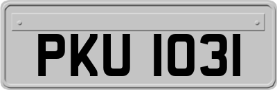 PKU1031