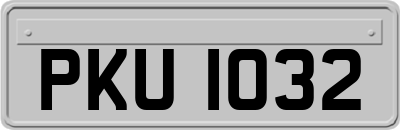 PKU1032