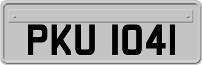 PKU1041