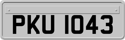 PKU1043