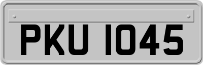 PKU1045